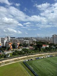 The Antares (D14), Apartment #466835241